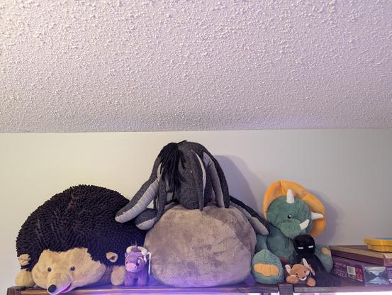stuffed animals on a bookcase by the ceiling