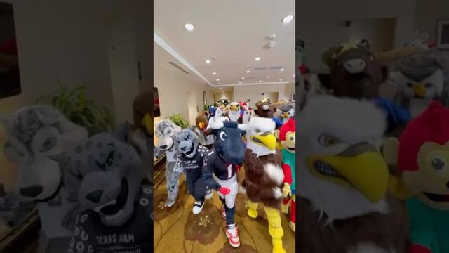 wyd if me and my gang pull up #houston #texans #mascot #ohboys