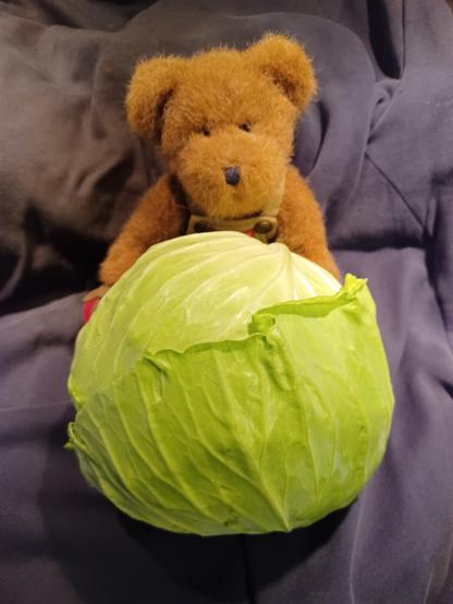 A ten inch tall (25cm), light brown teddy bear in green overalls sits looking directly at the camera. His name is BeetBear. He is holding a beet in his right paw.  There is a bunch of beets embroidered on the bib of his overalls.  In his lap is a head of freshly picked cabbage about 8 inches / 20cm in diameter.