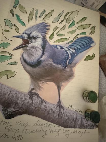 It is a page out of a antique ledger being used as a journal. The pages are slightly yellowed. A squawking Bluejay is in the center with foliage illustrated around it with pen and watercolor. There’s some text but it’s just a little bit of my journal so it doesn’t make any sense.
