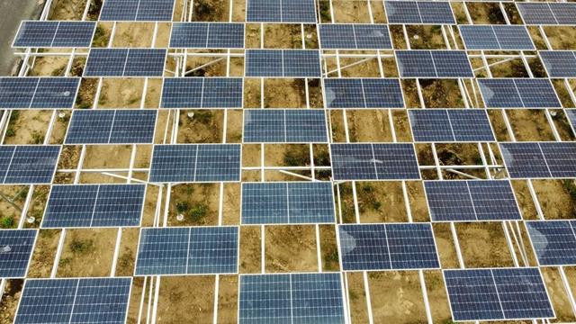 静岡県浜松市に大規模な営農型太陽光発電施設が稼働開始　再エネ活用と農業活性化を実現 (2025年6月24日) - エキサイトニュース