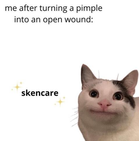 Image shows a wide-eyed, smug-looking cat with sparkles around the word “skencare.” The caption above says “me after turning a pimple into an open wound”