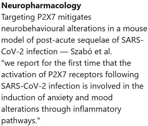 Neuropharmacology
Targeting P2X7 mitigates neurobehavioural alterations in a mouse model of post-acute sequelae of SARS-CoV-2 infection — Szabó et al.
"we report for the first time that the activation of P2X7 receptors following SARS-CoV-2 infection is involved in the induction of anxiety and mood alterations through inflammatory pathways."