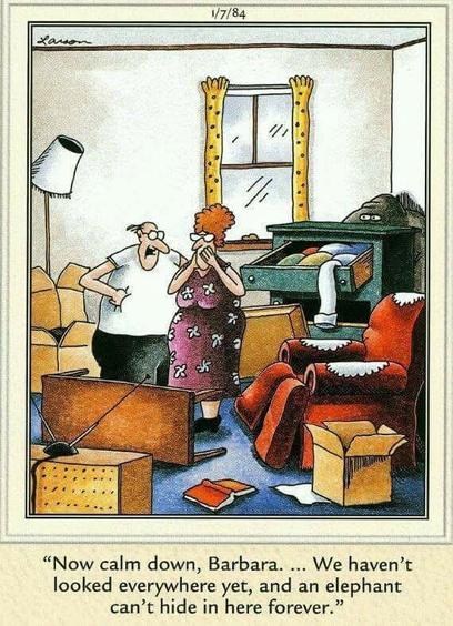 A Gary Larson "Far Side" comic dated January 7, 1984. A man and wife are standing in a room that has been ransacked, apparently while they have been looking for something. Boxes are open, tables are overturned, a lampshade is askew, drawers are open, and socks are hanging out of the open drawer. 

Behind the chest of drawers, the top and sides of an elephant are visible. 

The woman has her hands to her face. The man says, "Now calm down, Barbara. We haven't ... looked everywhere yet, and an elephant can't hide in here forever."