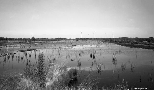 Das Naturschutzgebiet Theikenmeer bei Werlte