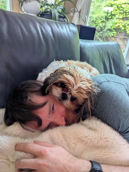 A man is lying on the couch and a Shih Tzu dog is on top of his head
