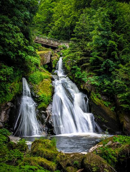 A multi-tiered waterfall cascading down a rocky, moss-covered incline, surrounded by a lush, dense forest. The water appears white and frothy as it tumbles over the various drops, due to a long exposure setting, blurring the movement of the water. The rocks around the waterfall are vibrant with green moss and various plants. Tall, dark green coniferous trees dominate the background and frame the waterfall on both sides. A wooden bridge crosses the falls at the top.

The Triberg Waterfalls is one of the highest waterfalls in Germany and a landmark in the Black Forest region.