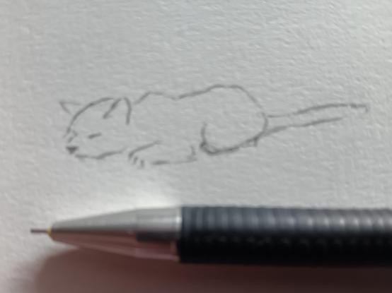 Zeichnung: Katze liegt platt auf dem Bauch