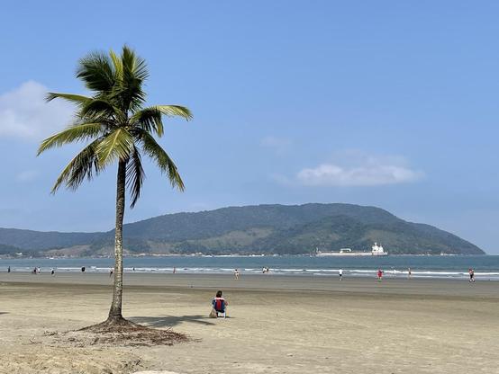 Das Bild zeigt eine idyllische Strandlandschaft mit einem einzelnen Palmenbaum im Vordergrund, der auf einem weiten, sandigen Strand steht. Der Baum hat eine hohe, schlanke Stammform und grüne Blätter, die im Wind wehen. Im Hintergrund erstreckt sich ein sanftes, bewaldetes Hügellandschaft, das in der Ferne in das Meer übergeht. Das Meer ist ruhig und blau, mit einigen Menschen, die am Strand entlang spazieren oder im Wasser spielen. Ein Schiff ist sichtbar, das auf dem Meer fährt. Der Himmel ist klar und blau mit ein paar weißen Wolken. Ein einzelner Person sitzt auf einem Stuhl am Strand, blickt in Richtung des Meeres und genießt die Aussicht. Die Szene vermittelt ein Gefühl von Ruhe und Entspannung.