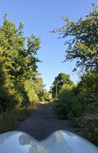 zuwachsender Radweg