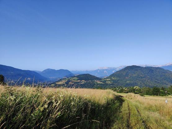 Photo du chemin du retour, avec des montagnes en arrière-plan, des collines vert foncé, et de grandes fleurs jaunes le long du sentier. Le tout sous un grand ciel désormais bleu.