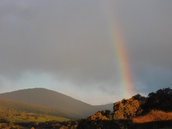 Southern end of the rainbow, with foreground trees catching late afternoon sun and misty hills behind