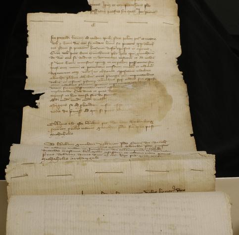 Rotulus aus aneinandergenähten Papierblättern. 5. Mai 1371. Landesarchiv Baden-Württemberg, Hauptstaatsarchiv Stuttgart A 502 Bü 192.