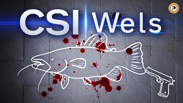 !B CSI: Wels - Mit Wels und Waffen Kreideumriss auf dem Boden