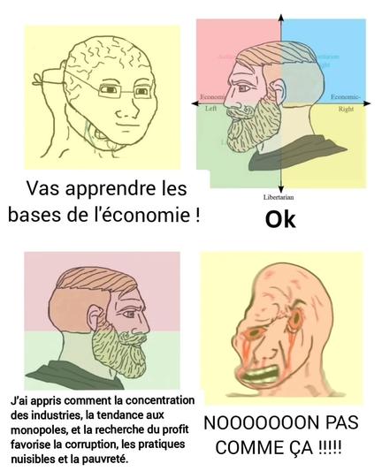 meme trouvé ailleurs.
 4 cases : 
1-2 : un wojak avec un masque de gros cerveau dit : "Va apprendre les bases de l'économie" !
un chad réponds : OK
3-4 : En dessous le chad revient et dit : j'ai appris comment la concentration des industries, la tendance aux monopoles, et la recherche du profit favorise la corruption, les pratiques nuisibles et la pauvreté.
Le wojak déformé et pleure des larmes de sang : "noooon pas comme ça !!"
