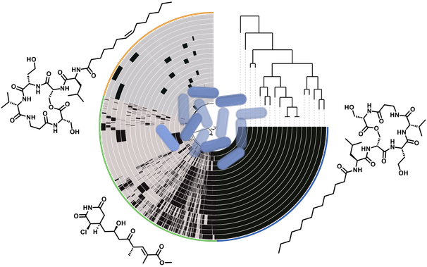 Central pie chart shows genes of different Pseudomonas syringae strains. Chemical structures on the outside represent newly discovered compounds. Phylogenetic tree of relationships at the top.