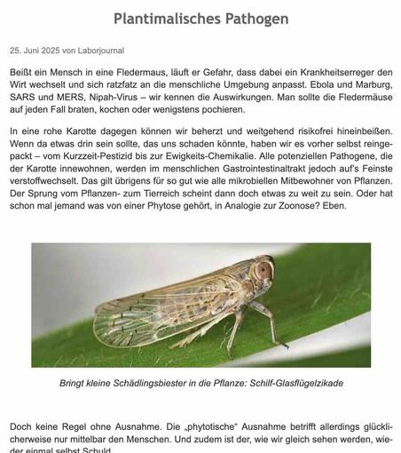 Screenshot aus dem im Post verlinkten Artikel. Oben Überschrift "Plantimalisches Pathogen", darunter die ersten Absätze des Artikeltexts. Ganz unten ein Foto einer Schilf-Glasflügelzikade auf einem grünen Blatt.