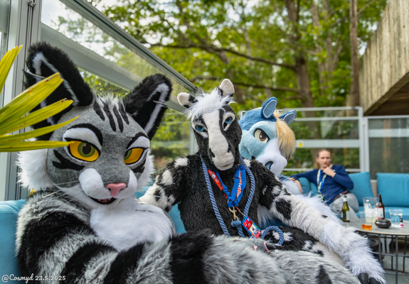 This is a photograph of three fursuiters sitting on a blue patio sofa on the outdoor deck at Brightsmith's at the ConFuzzled Hilton. Closest to the camera is a grey tabby cat, then a black and white hornless unicorn, and then finally a blue pegasus poking his head out from behind the first two.