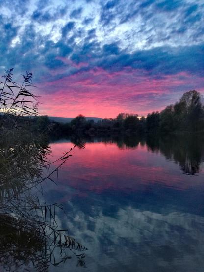Pink, blau und geflockt blauer Himmel spiegeln sich im Wasser, am Horizont schwarze Silhouten des baumbestandenen Ufers.