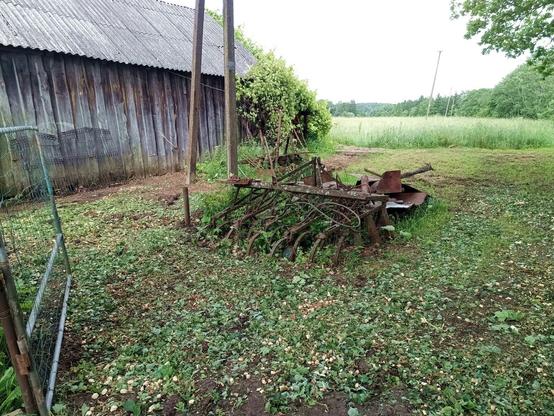 The area between the barns. A powerline passes through on standing concrete poles. A previously cleared and leveled area is now covered with fresh branch and leaf shreddings. There's still a pile of steel and old farm equipment by the power pole. A wood planked barn is at the left.