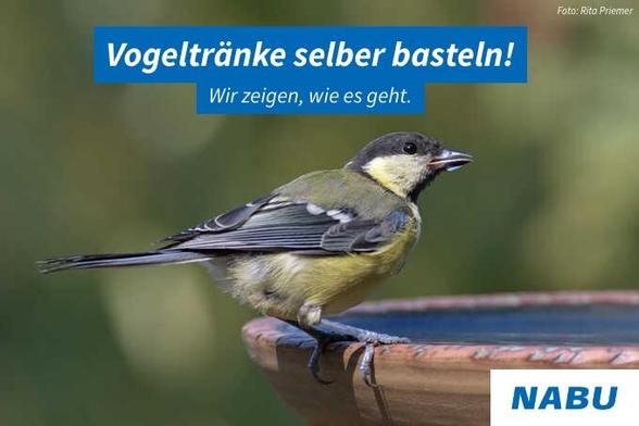 Eine Kohlmeise sitzt am Rand einer terrakottafarbenen Vogeltränke mit Wasser vor unscharf grünem Hintergrund. Im oberen Bereich ein blauer Balken mit weißer Schrift „Vogeltränke selber basteln! Wir zeigen, wie es geht.“, oben rechts „Foto: Rita Priemer“, unten rechts das NABU-Logo.