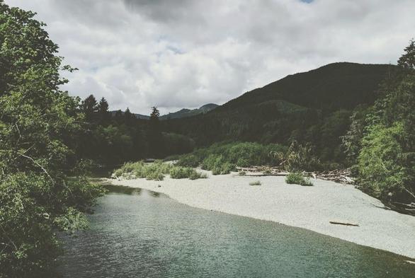 A wide, clear river flows in a slight curve towards the foreground. The riverbank is covered in white stones, small shrubs, and a few fallen logs. A dense, dark green forest borders the river with a backdrop of rolling green mountains under a cloudy sky.