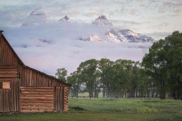 Part of one of the Moulton barns is shown on the left while the Teton mountains are in the background and surrounding vegetation on the right. On this morning a layer of fog rests at the base of the mountains and a slight bit of color illuminates the fog and clouds.