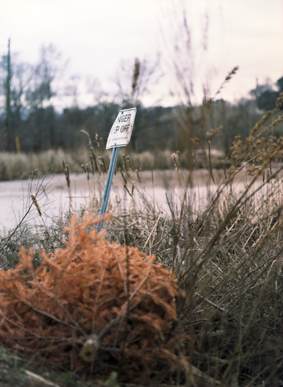 A former Christmas tree, dried to a copper red, lies beside a “danger keep off” sign on a small island in a river delta.