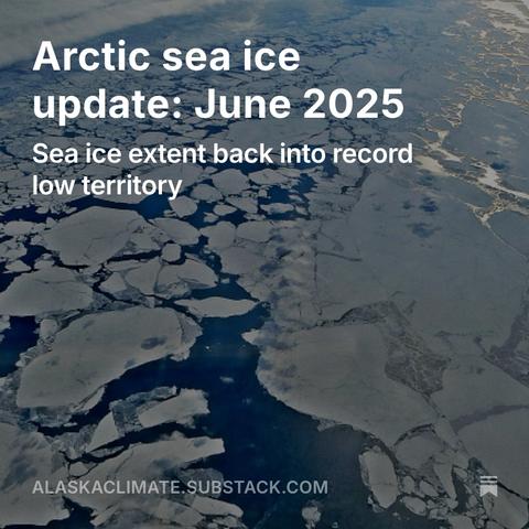 Splash screen for the posy Arctic sea ice update: June 2025. Sea ice extent back into record low territory.