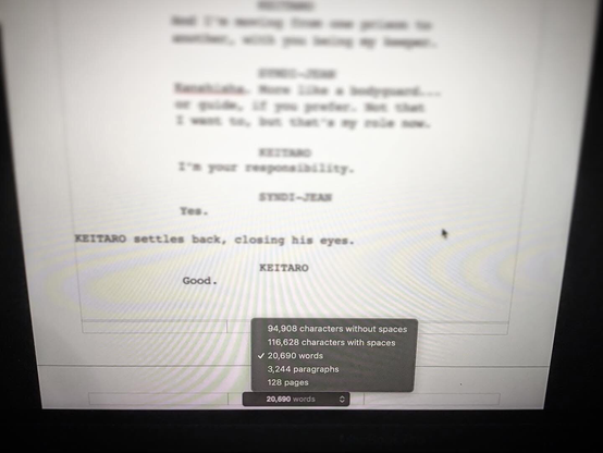 Shot of the screen with the stats for the second Syndi-Jean script in focus at the bottom while the upper part of the image is blurred out.
