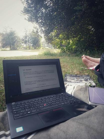 Laptop sul telo, nel prato di un parco pubblico