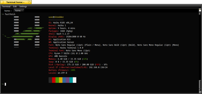 Fastfetch 2.46.0 running on Haiku 64bit R1B5.