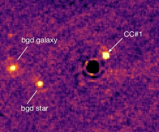 North is up, and east is left. The status of three identified sources is indicated. Note that the faint signal north of the background galaxy is an artefact. bgd, background.
