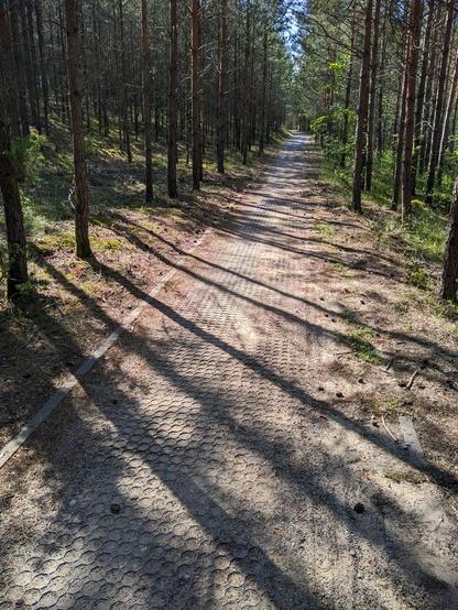 Podjazd na szutrowej drodze dla rowerów wzmocniony ciemnozieloną plastikową siatka.