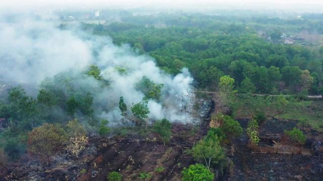 #News: Sawit Watch Report finds 1,100 community #conflicts with #palmoil companies over #landrights. Weak governance and #corrupt business practices are fueling tensions. #HumanRights #Deforestation #BoycottPalmOil 🌴☠️🔥🚫https://indonesiabusinesspost.com/4212/energy-and-resources/over-a-thousand-communities-affected-as-oil-palm-conflicts-escalate-sawit-watch?utm_source=mastodon&utm_medium=Palm+Oil+Detectives&utm_campaign=publer