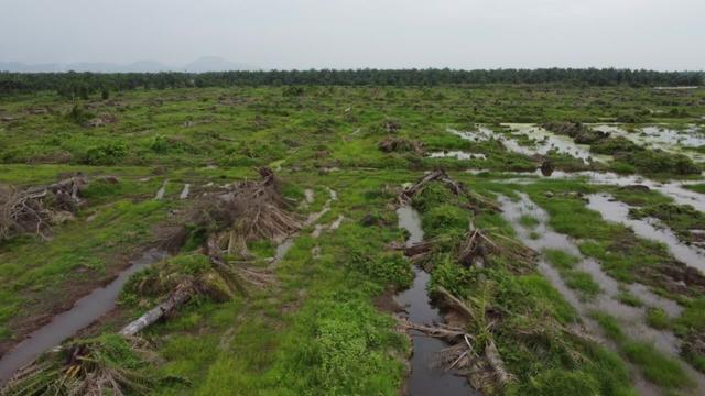 #News: Sawit Watch Report finds 1,100 community #conflicts with #palmoil companies over #landrights. Weak governance and #corrupt business practices are fueling tensions. #HumanRights #Deforestation #BoycottPalmOil 🌴☠️🔥🚫https://indonesiabusinesspost.com/4212/energy-and-resources/over-a-thousand-communities-affected-as-oil-palm-conflicts-escalate-sawit-watch?utm_source=mastodon&utm_medium=Palm+Oil+Detectives&utm_campaign=publer