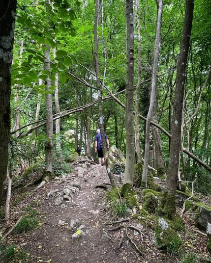 Felsige Wege durch den Wald auf der Route de Crète.