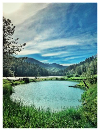 A serene landscape in northern Idaho in hues of blue and green. In the foreground is a pond bordered by long grass; the far end of the pond is separated by only a thin strip of land from the Clearwater River in the middle distance. Beyond the river are fir-covered mountains. At left are the branches of a tree partly out of frame. Above is a blue sky streaked by cirrus clouds, with a partially overexposed sun at upper left.