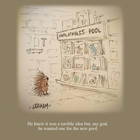 A cartoon illustration of a sad porcupine looking longingly at a display of pool inflatables in a store. Caption reads "He knew it was a terrible idea but, my god, he wanted one for the new pool."