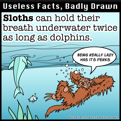 Sloths can hold their breath underwater twice as long as dolphins.