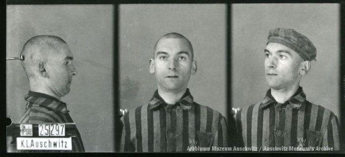 A mugshot registration photograph from Auschwitz. A man with a shaved head wearing a striped uniform photographed in three positions (profile and front with bare head and a photo with a slightly turned head with a hat on). The prisoner number is visible on a marking board on the left.