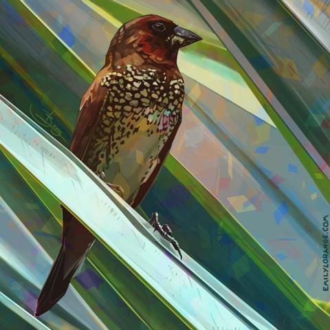 a digital painting of a small bird perched on a blade-like leaf. the bird is a reddish-brown, with a white underbelly and dense white spots on its chest. it sits in profile, pointing towards the right, the environment around it shades of grey and green.
