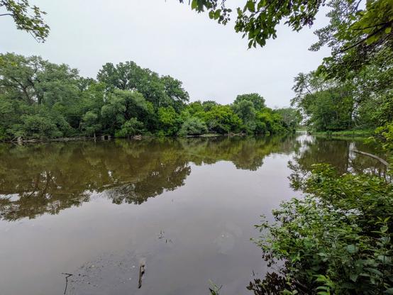 A large river with green trees on either side