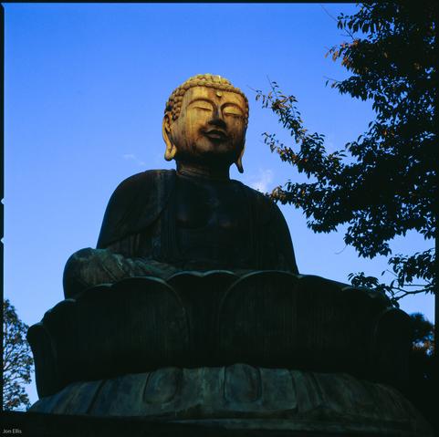 photograph of a seated buddhist statue, mostly in silhouette but with head and face lit in the late day sun... ohm.
