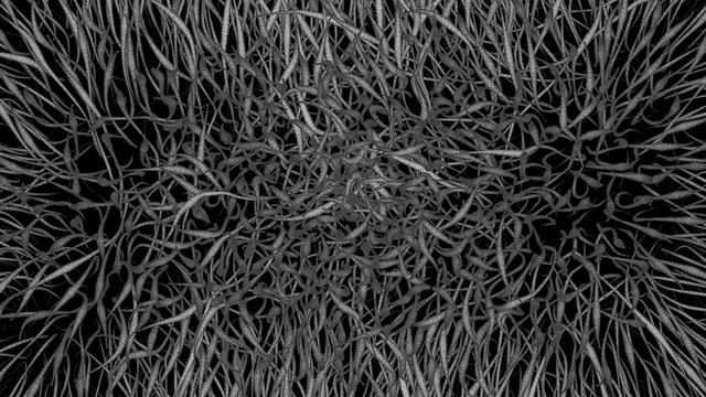 Mostre VR: le più belle