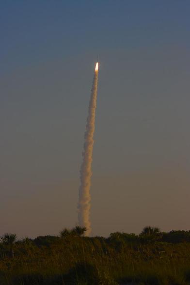 An Atlas V ascends on a column of smoke into the early morning sky. Some palm trees and grasses are visible along the ground.