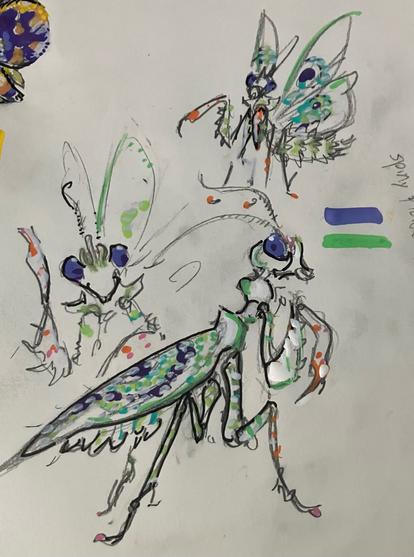 sketches of the mantis which is white w green markings and lavender eyes