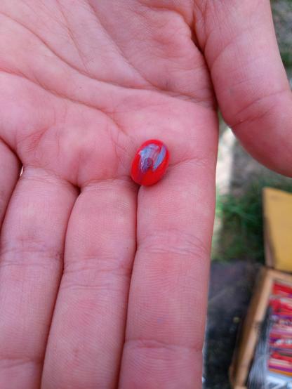 Eine Kinderhandel hält eine rotblaue Glasperle.