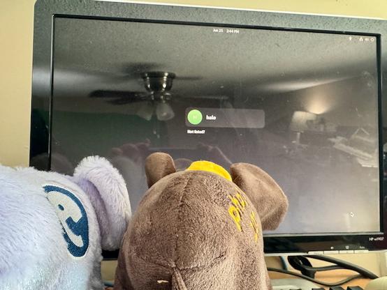 Tony and Pollita elephant toys posed in front of a monitor, looking at a login screen. They're sitting on a keyboard.