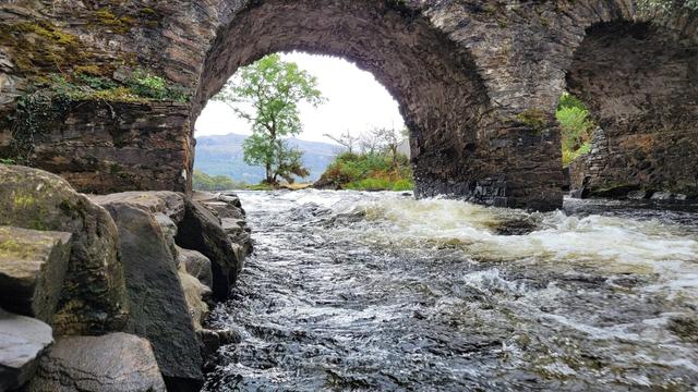 Picture made from the wall through one of the bridge gates with the tree visible behind it.